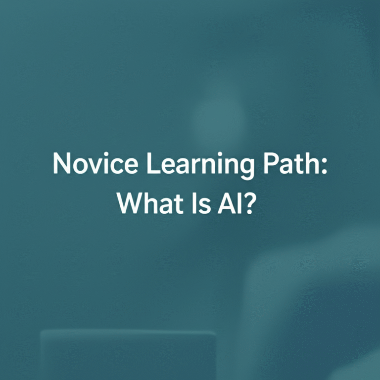 novice learning path