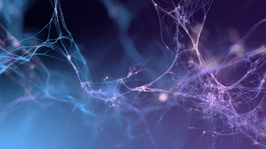Turn Raw Data into ML Gold