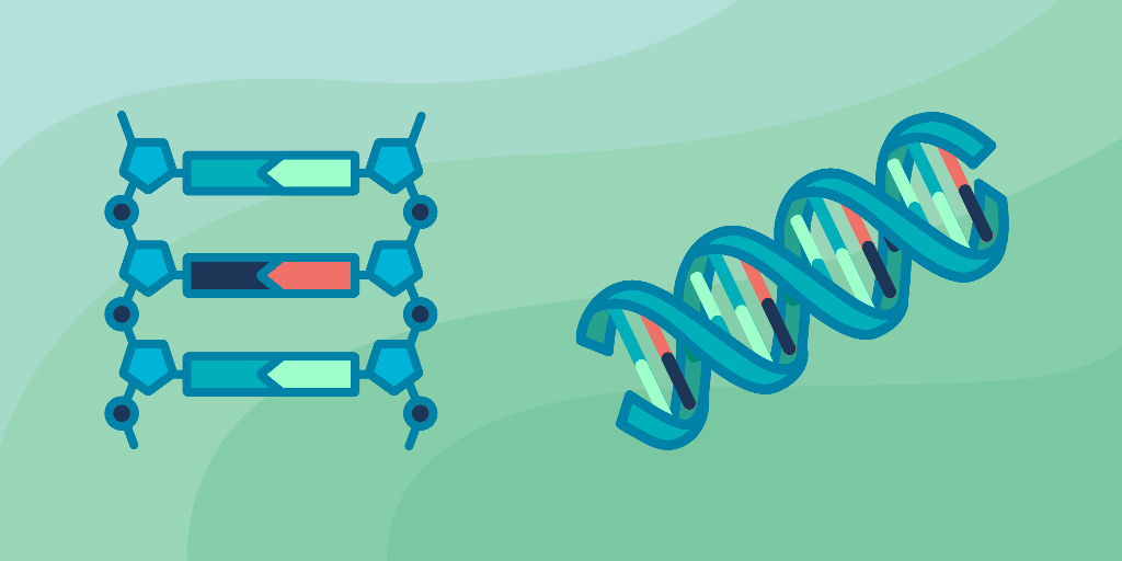 AIPowered Bioinformatics Algorithms Course